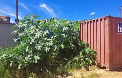 Imagem 6: Lote residencial