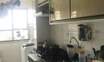 Imagem 4: Palm Ville (ref: 1275) [3567