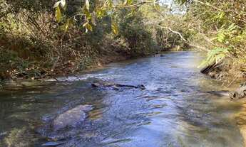 Imagem 7: Chácaras de 20mil mt com Rio passa quatro no fundo!