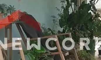 Imagem 2: Chácara em Estrada Municipal Silvio Berti - Piedade - Caçapava/SP