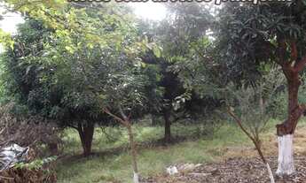 Imagem 5: Áreas de 1.000M2 100% plana entrada 8mil * WhatsApp