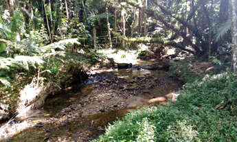 Imagem 2: Chácara com local para lago casa simples