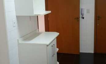 Imagem 4: Excelente Apartamento No Bairro Higienópolis