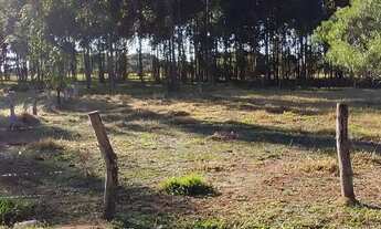 Imagem 2: Lindo terreno aproximadamente 900mts do asfalto da Ambev