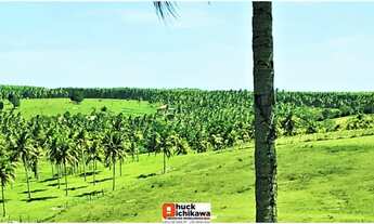 Imagem 4: Fazenda de 348 Tarefas