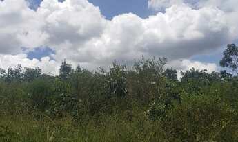 Imagem 6: Vendo chácara Núcleo Rural Bom Sucesso