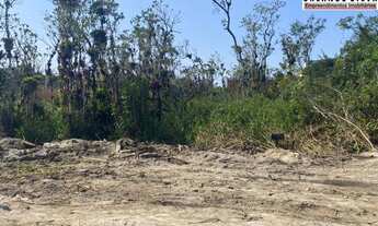 Imagem 4: 113km/Curitiba/São José dos Pinhais/10min Centro Matinhos/Terreno/300m²/ R$81mil