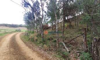 Imagem 10: Chácara 5 Alqueires em Cantagalo-Pr