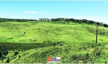 Imagem 6: Fazenda de 348 Tarefas