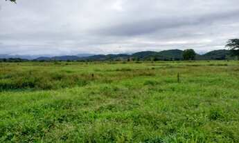 Imagem 4: Fazenda 32 alqueires Área Plana ( Willian Ricardo