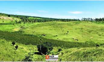 Imagem 7: Fazenda de 348 Tarefas