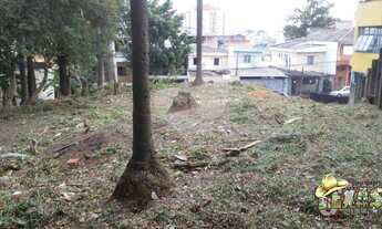 Imagem 6: TERRENO VILA EMA