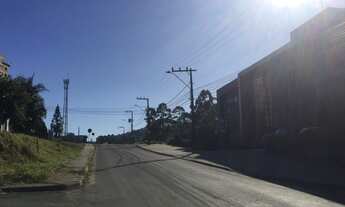 Imagem 6: CRICIÚMA - Terreno Padrão - PRÓSPERA