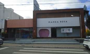 Imagem 3: COMERCIAL - AVENIDA AFONSO DELAMBERT NETO, 573