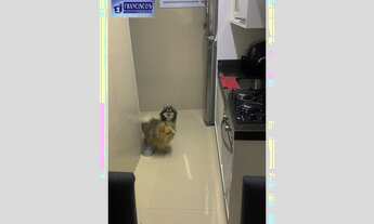 Imagem 4: Apartamento para venda com 63 metros quadrados com 2 quartos em Parque Mandaqui - São Paul