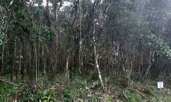 Imagem 4: Lote/Terreno para venda tem 1000 metros quadrados em Balneário Gaivota - Itanhaém - SP