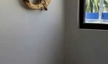 Imagem 6: Apartamento de 03 quartos no Ipioca Beach Life