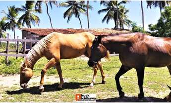 Imagem: Fazenda de 348 Tarefas