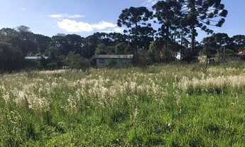 Imagem: Vendo Terreno Centro Cidade Quatro Barras