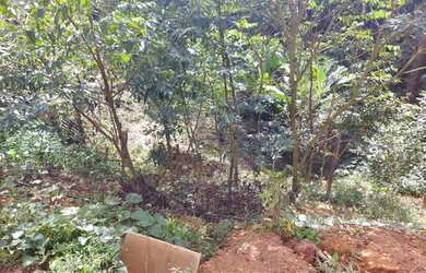 Imagem 3: Chacara em Guarulhos 25 minutos do centro de Guarulhos