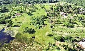 Imagem 6: Sítio de 7 Tarefas