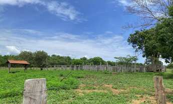 Imagem 2: Fazenda 127 alqueires em Palmeirópolis Tocantins