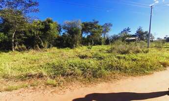 Imagem 5: Chácara à venda localizada em Parobé/Morro da pedra!!