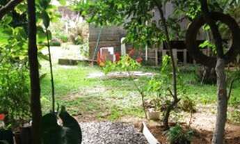 Imagem 7: Lindo sítio c/chalé em condomínio fechado, as margens da RS040