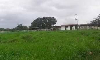 Imagem 3: Vendo Fazenda entre São Miguel do Passa 4 e Vianopolis - GO