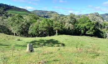 Imagem 5: Vendo Lindo terreno com 3.2 hec