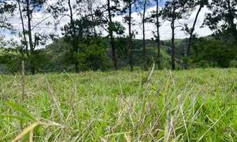 Imagem 2: M17-lotes com escritura