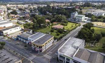 Imagem 6: Terreno Araucária