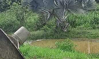 Imagem 3: Chácara para Venda em Rio das Ostras, Cantagalo