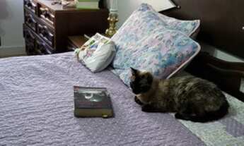 Imagem 5: Apto a venda, 84 m priv, dois dorm, suite, fina mobilia, vista Guaiba, R$ 499 mil - Vila A