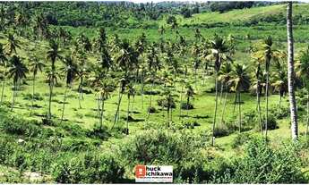 Imagem 5: Fazenda de 348 Tarefas