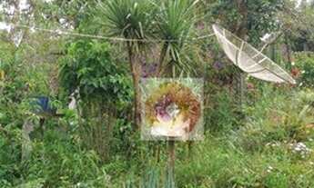 Imagem 4: Chácara com 3 quartos à venda, 12300 m² por R$ 299.000 - Avencal - Mandirituba/PR