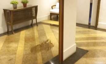 Imagem 2: Apartamento para venda tem 159 Mts e maravilhosa vista da serra !