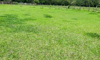 Imagem 4: T.e - Vende-se terrenos para chácaras