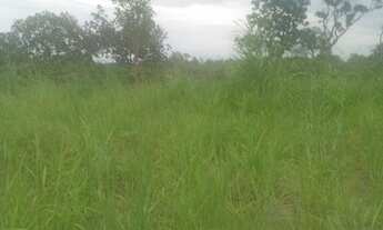 Imagem 6: TERRA 6.5 alqueires no FAINA