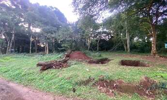 Imagem 3: EXCELENTE TERRENO NO BAIRRO BOSQUE LUCAS ARAUJO