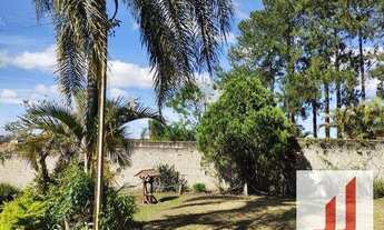 Imagem 7: CHACRA DENTRO DA CIDADE