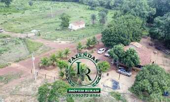 Imagem 3: Fazenda 29 Alqueires Região Aparecida Rio Negro