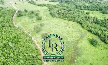 Imagem 4: Fazenda 29 Alqueires Região Aparecida Rio Negro