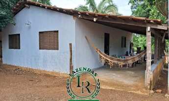 Imagem 7: Fazenda 29 Alqueires Região Aparecida Rio Negro