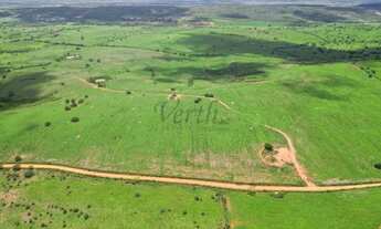 Imagem 7: Fazenda à venda 172 hecteres, Jeremoabo - Bahia