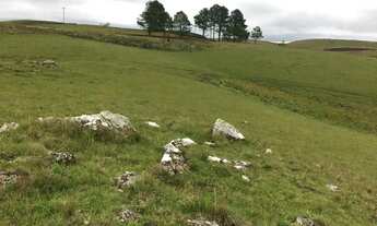 Imagem 4: Lote em São Francisco de Paula - Centro - São Francisco de Paula/RS