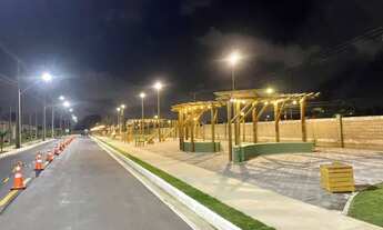 Imagem 7: Dracenas com entrada parcelada em 100 vezes no boleto