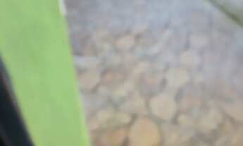 Imagem 4: Aluga se casa com 1 quarto,sala, cozinha conjugada, área de serviço, garagem para moto.