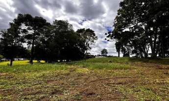 Imagem 6: Terreno para Venda em São José dos Pinhais, Jurema