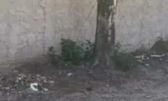 Imagem 4: Terreno à venda no bairro Balneário Ponta da Fruta - Vila Velha/ES